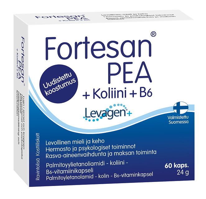 Fortesan PEA +Koliini + B6 60 kapselia kotelossa